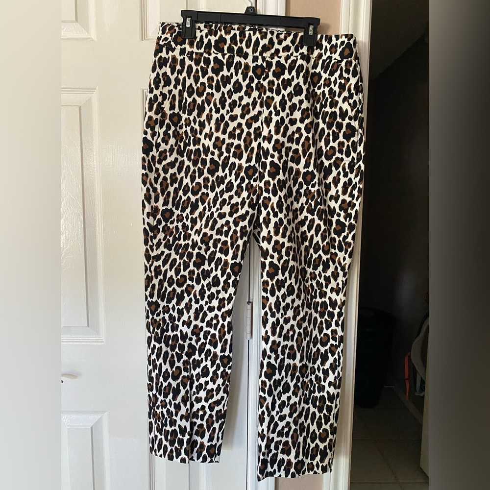 J. Crew ladies pants.